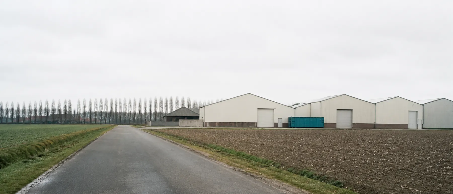 Route de campagne bordée d'un champ labouré et d'un rideau de peupliers, menant à une rangée de hangars agricoles et artisanaux sous un ciel gris de Pévèle.